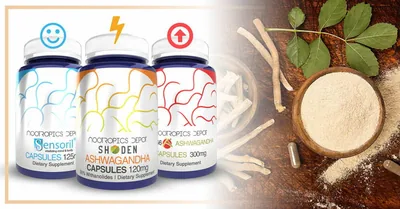 KSM-66 Capsules | Ashwagandha Root