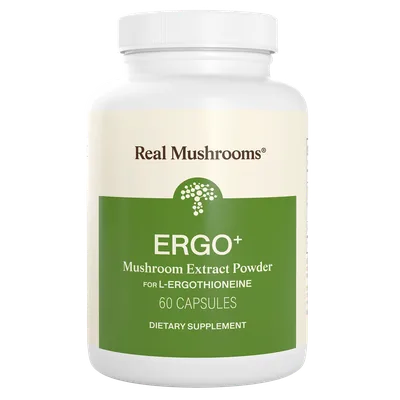 Ergo+